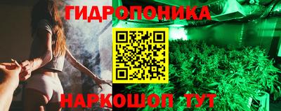 дмт Севастополь