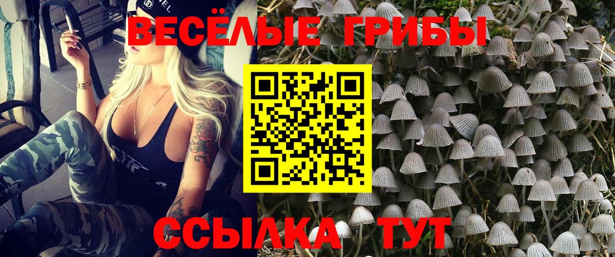 Псилоцибиновые грибы Psilocybe  Галлюциногенные грибы мицелий  Павлово  Вход с VPN 