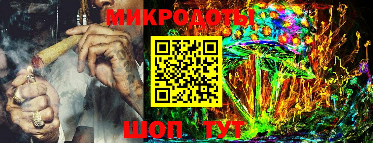 Галлюциногенные грибы Psilocybe Павлово
